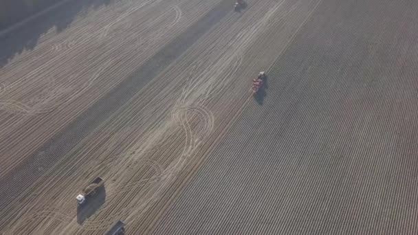 Oogsten van aardappelen met een combineren — Stockvideo