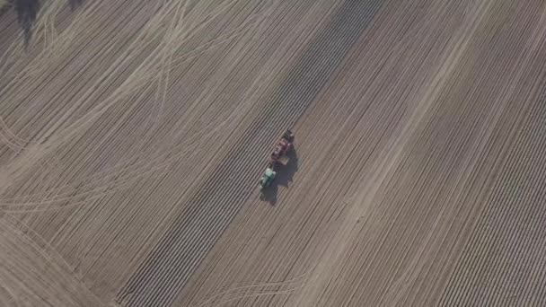 Récolte de pommes de terre avec une combinaison — Video