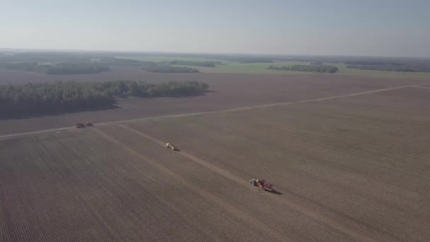 Oogsten van aardappelen met een combineren — Stockvideo