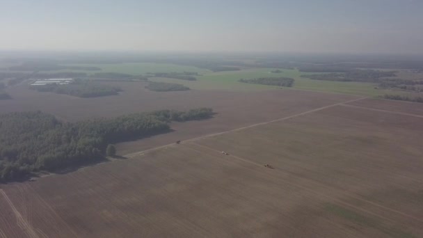 Skörda potatis med en kombinera — Stockvideo