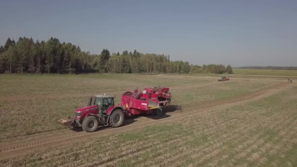 Raccolta delle patate con una combinazione — Video Stock