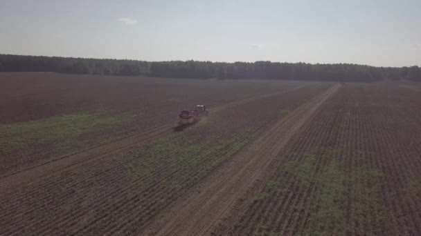 Oogsten van aardappelen met een combineren — Stockvideo