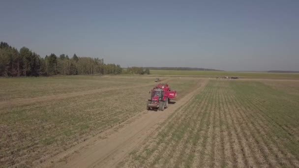 Harvesting potatoes with a combine — Stock Video