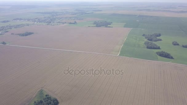 Beaux champs de viol sous le ciel bleu — Video