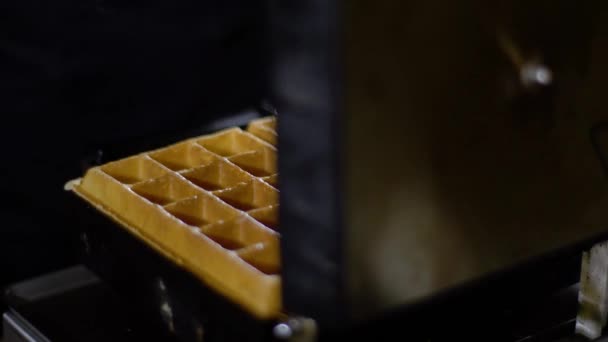 Waffles Taken Waffle Iron Cooked Waffles — Stock Video