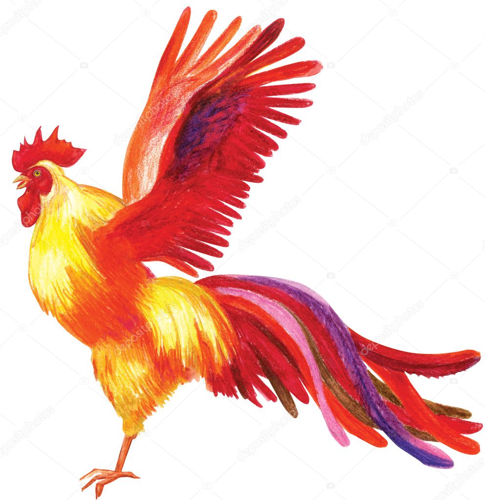 Disegno a matita di un gallo — Foto Stock