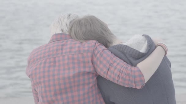 抱着对方的恋人 — 图库视频影像