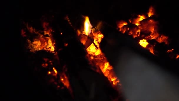 Lit bela fogueira à noite — Vídeo de Stock