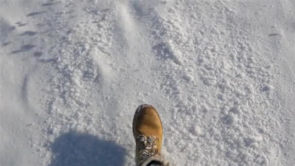 Primer plano piernas femeninas caminando en la nieve cámara lenta — Vídeo de stock