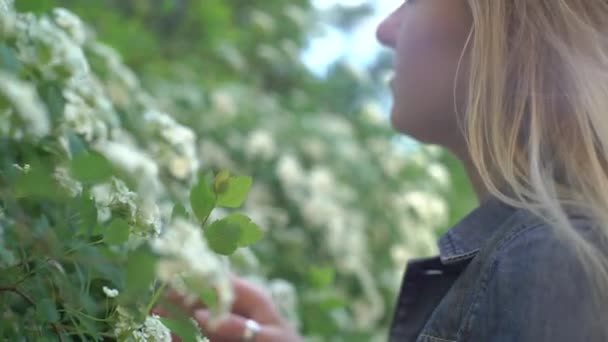 4k Nahaufnahme Mädchen im Rock Spaziergang in weiß blau blühen Blumenfeld — Stockvideo