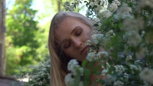 Uma menina cheira flores em um campo lento movimento — Vídeo de Stock