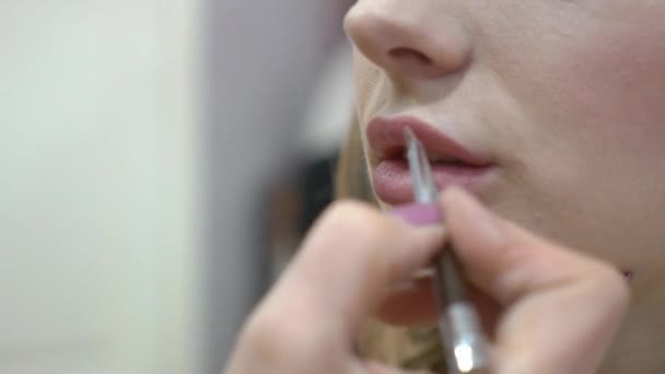 Profissional maquiagem estilista pinta os lábios do modelo com batom — Vídeo de Stock