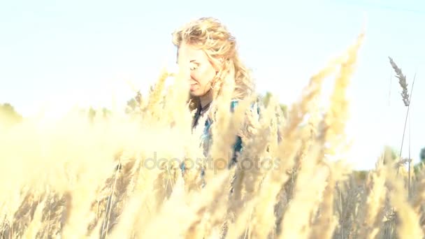 Slow Motion Girl Wheat Field Touches Ears Wheat Camera — Stock Video