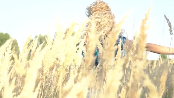 Lento Movimento Menina Bonita Campo Trigo Toca Orelhas Trigo — Vídeo de Stock