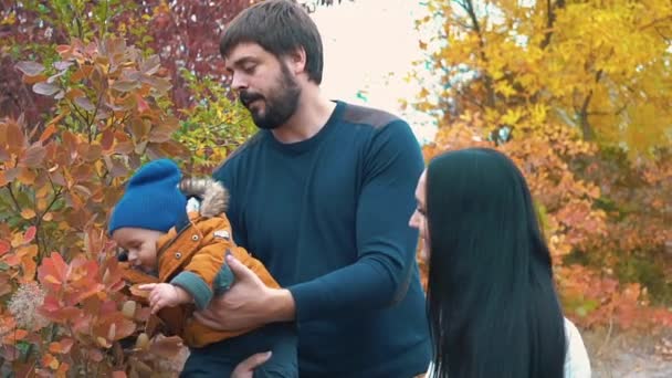 Familia Appy Cámara Lenta Jugando Con Hojas Otoño Parque — Vídeos de Stock