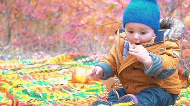 Slow Motion Cute Baby Playing Fallen Leaves Beautiful Autumn Day — Stock Video
