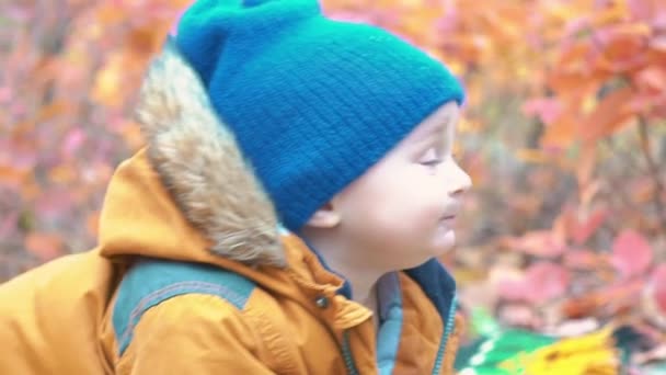 Zwolnionym Tempie Jeden Letni Chłopiec Przemierza Wzdłuż Parku Jesień — Wideo stockowe