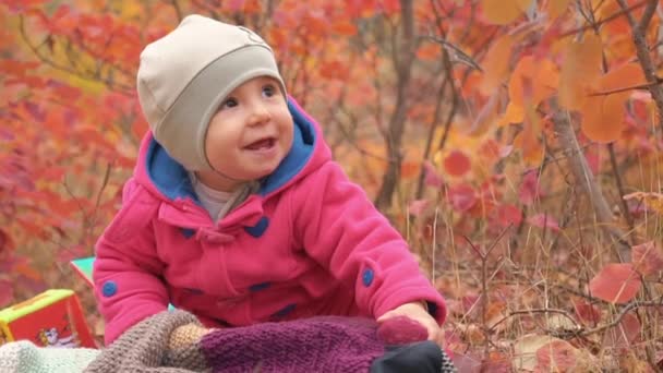 Slow Motion One Year Old Girl Crawls Autumn Park — Stock Video