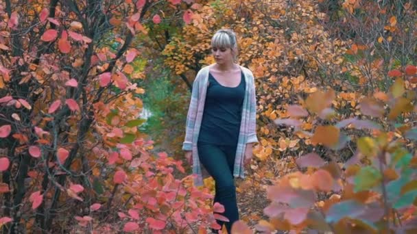 慢动作的年轻女孩在秋天走在公园里 — 图库视频影像