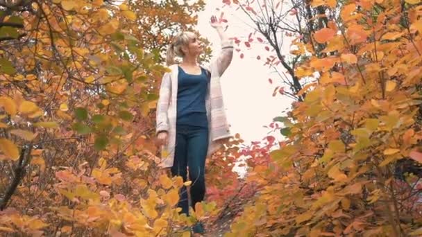 Gerçek Zamanlı Genç Kız Parkta Sonbaharda Yürür — Stok video