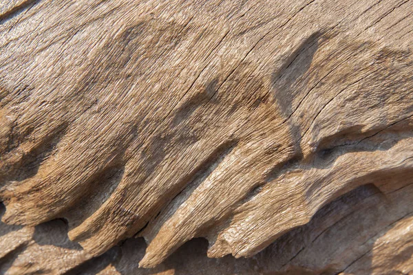 Textura de madera fondo — Foto de Stock