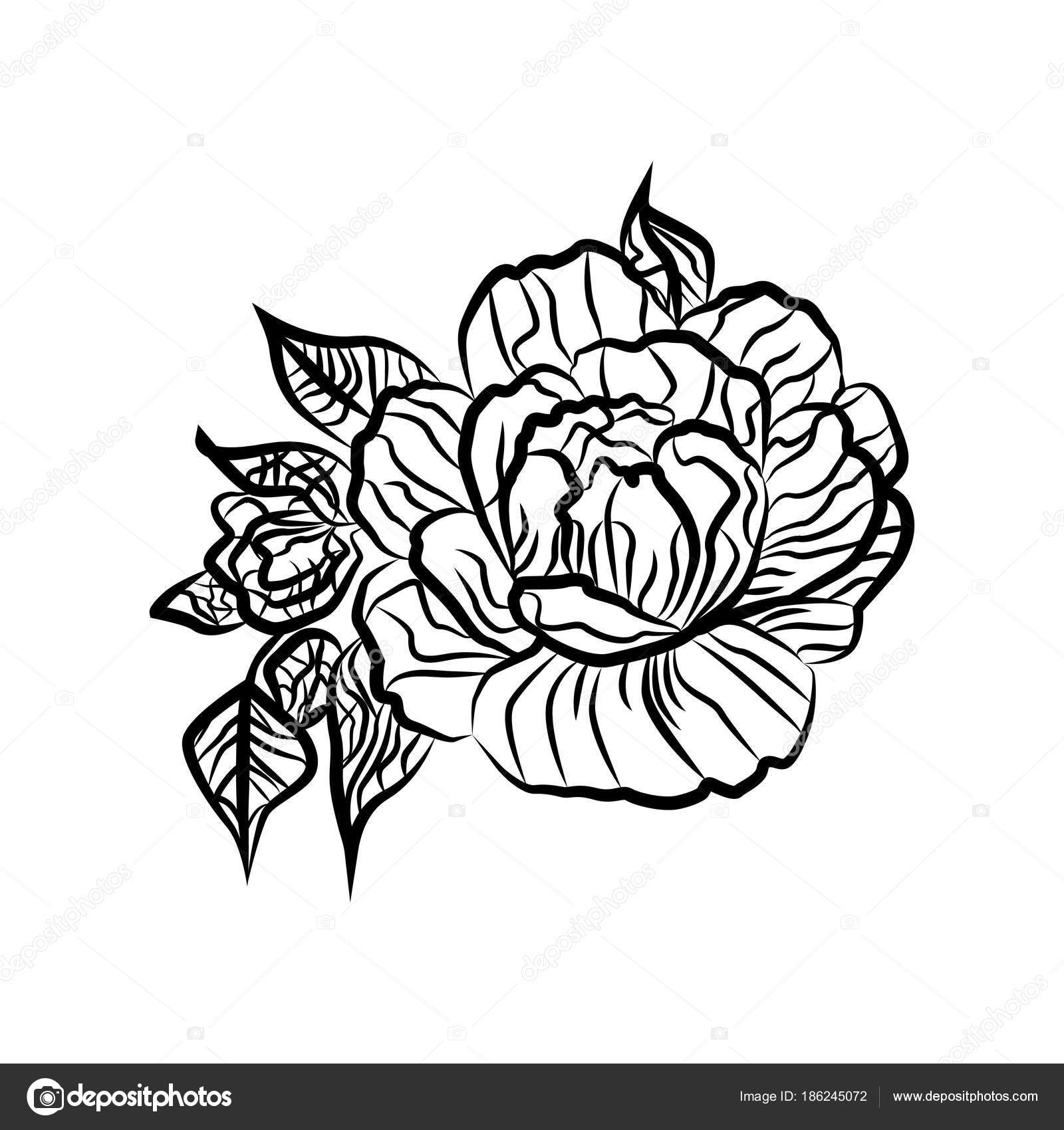 Dessin Dun Tatouage Rose Noir Et Blanc Silhouette De