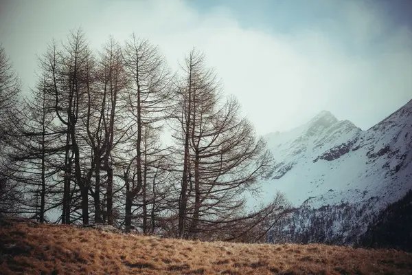 Zima góry Alpy — Zdjęcie stockowe