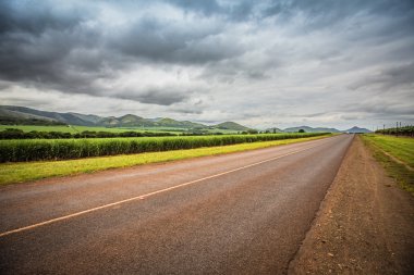 Yolda Drakensberg için