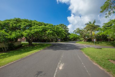 Afrika Safari manzaralar