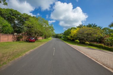 Afrika Safari manzaralar