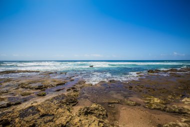 Afrika Safari manzaralar