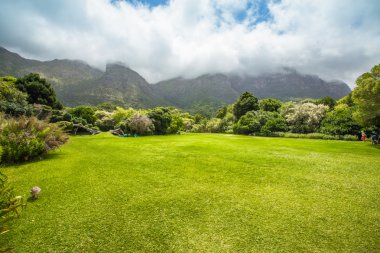 KIRSTENBOSCH bahçeleri Cape Town