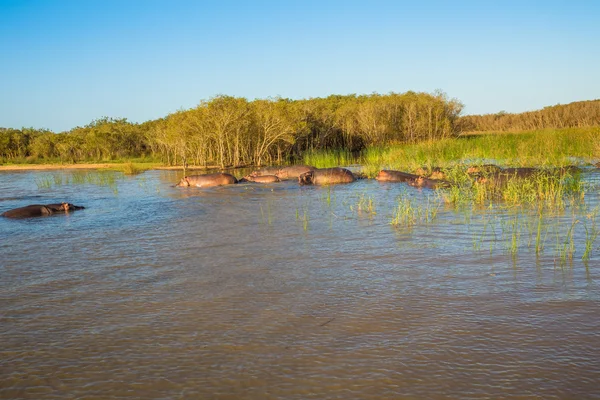 Afrikansk Safari landskap — Stockfoto