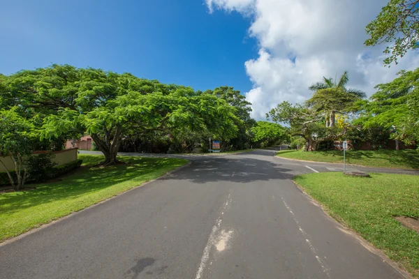 Afrika Safari manzaralar