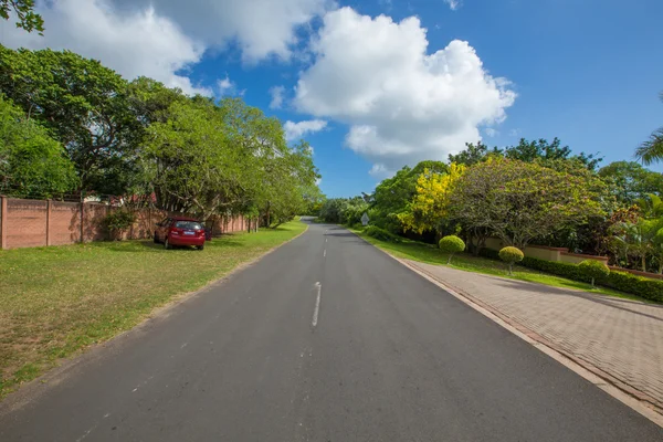 Afrika Safari manzaralar