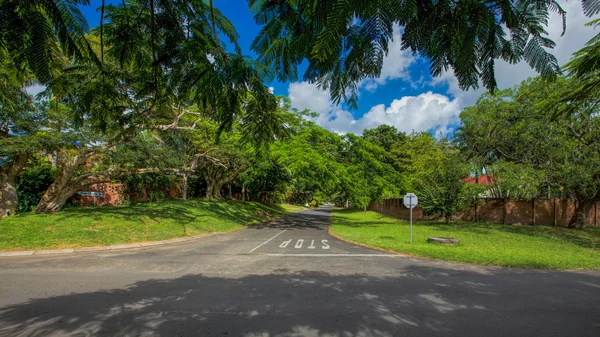 Afrika Safari manzaralar