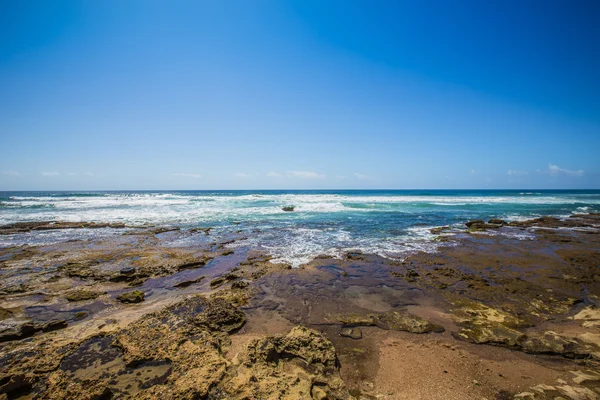 Afrika Safari manzaralar