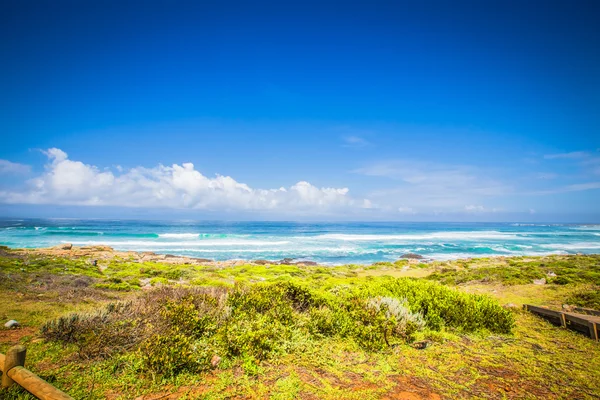 Kaap de Goede Hoop — Stockfoto