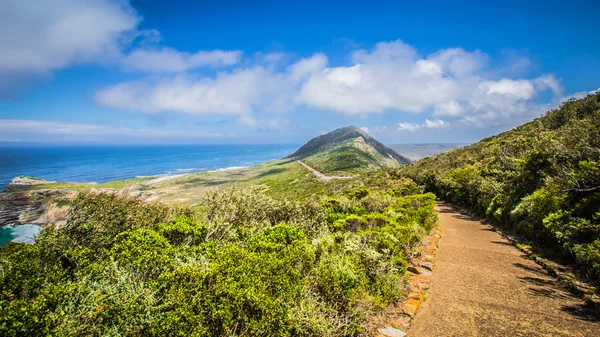 Cabo de Buena Esperanza — Foto de Stock