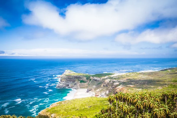 Cape Point - Jižní Afrika — Stock fotografie