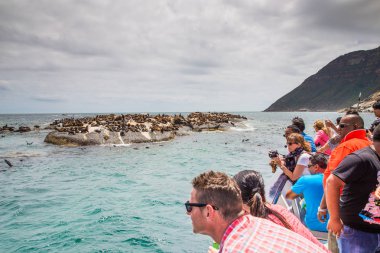 Houtbaai Western Cape clipart