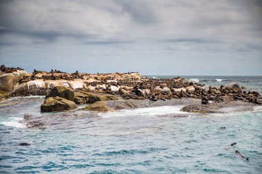 Houtbaai Batı Burnu