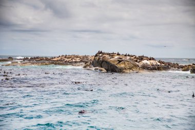 Houtbaai Batı Burnu