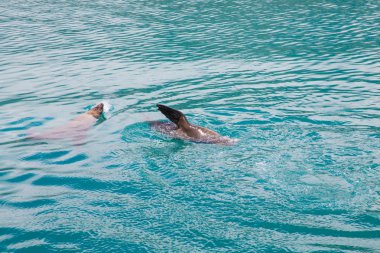 Houtbaai Batı Burnu