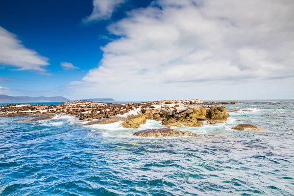 Houtbaai Westkap — Stockfoto