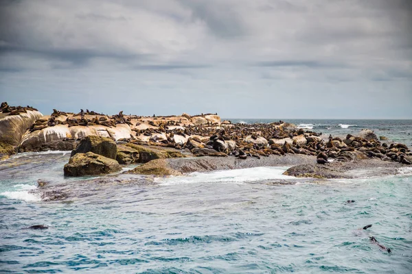 Houtbaai Batı Burnu