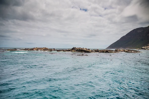 Houtbaai Westkap — Stockfoto