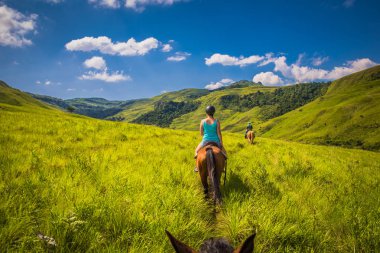 Drakensberg bölge Güney Afrika