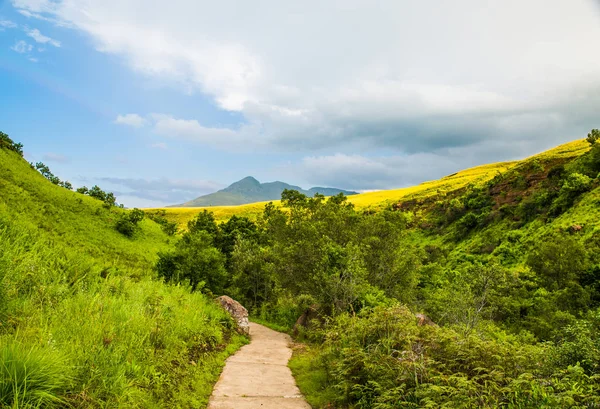 Región de Drakensberg Sudáfrica — Foto de Stock