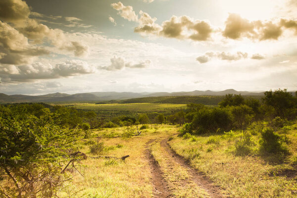 Mkuze Falls South Africa Game Drive